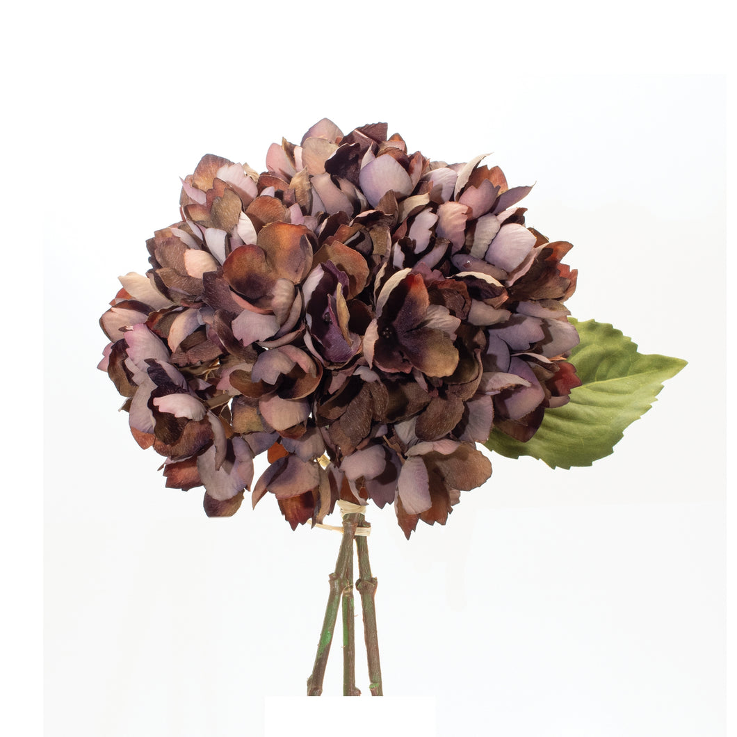 Rustic Hydrangea Bundle