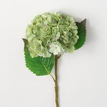 Load image into Gallery viewer, HYDRANGEA STEM
